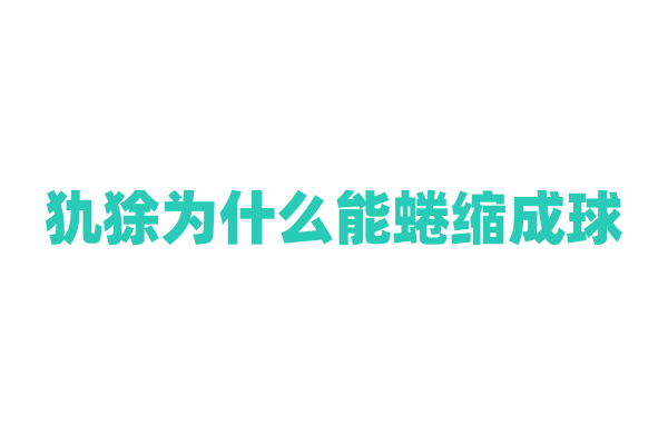 犰狳为什么能蜷缩成球，它的身体结构和防御机制是什么？