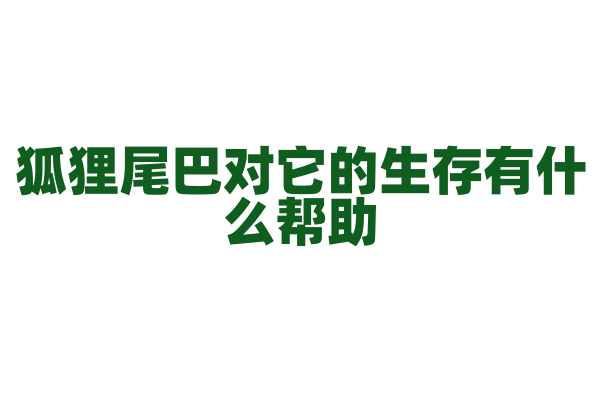 狐狸尾巴对它的生存有什么帮助？