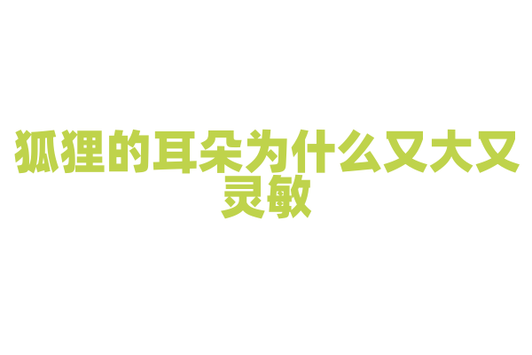 狐狸的耳朵为什么又大又灵敏？