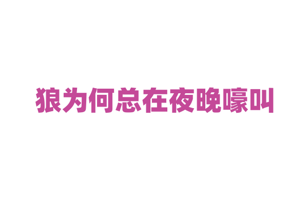 狼为何总在夜晚嚎叫，背后有什么含义？
