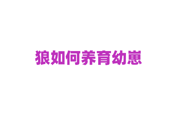 狼如何养育幼崽，确保它们存活？