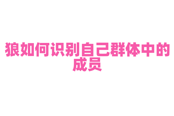 狼如何识别自己群体中的成员？
