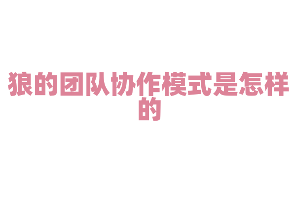 狼的团队协作模式是怎样的