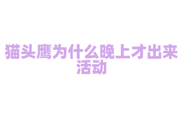 猫头鹰为什么晚上才出来活动，它的眼睛有什么特殊能力？