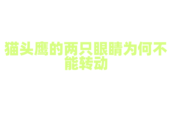 猫头鹰的两只眼睛为何不能转动，却能看清周围？