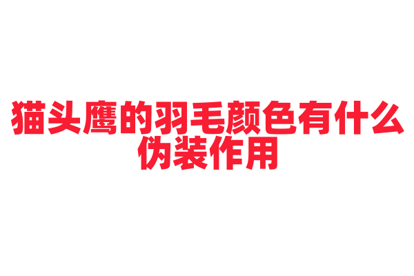 猫头鹰的羽毛颜色有什么伪装作用？