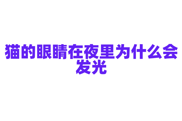 猫的眼睛在夜里为什么会发光？