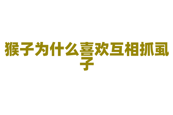 猴子为什么喜欢互相抓虱子，真的是在抓虱子吗？