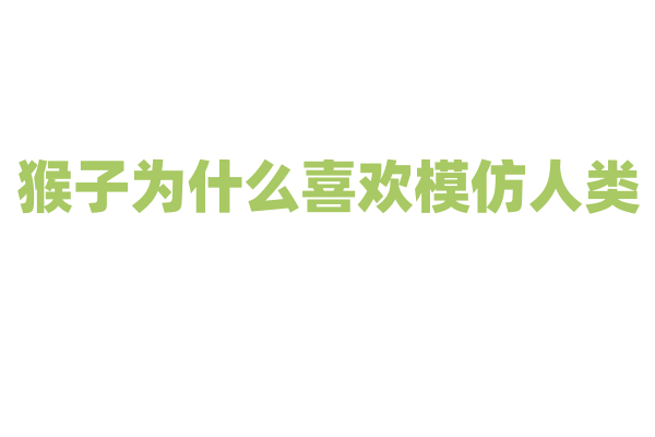猴子为什么喜欢模仿人类，它的学习能力有多强？