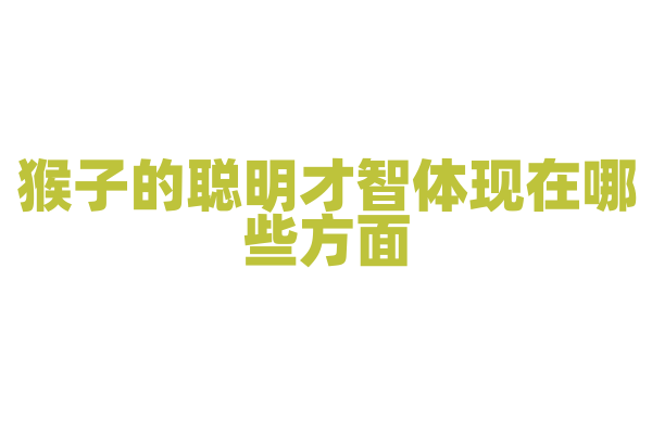 猴子的聪明才智体现在哪些方面