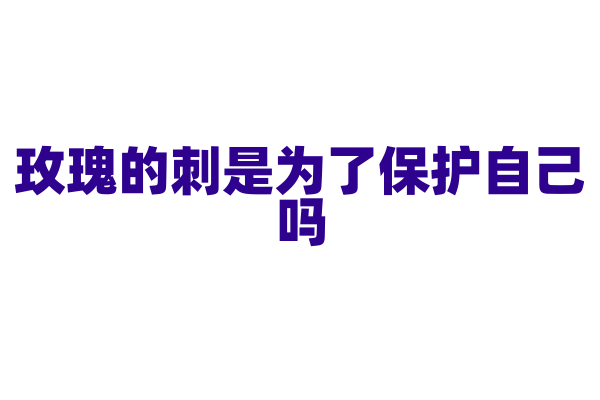 玫瑰的刺是为了保护自己吗