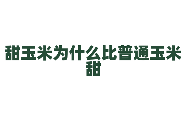 甜玉米为什么比普通玉米甜，它的糖分基因有什么不同？