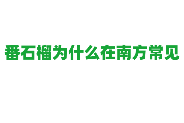 番石榴为什么在南方常见，它对生长环境有什么特殊需求？