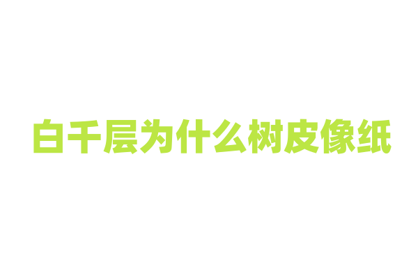 白千层为什么树皮像纸，这种特殊的树皮结构有什么作用？