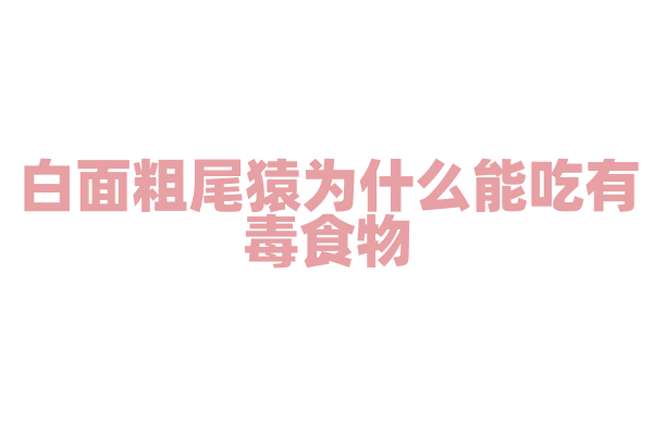 白面粗尾猿为什么能吃有毒食物，它的消化系统有什么特殊能力？