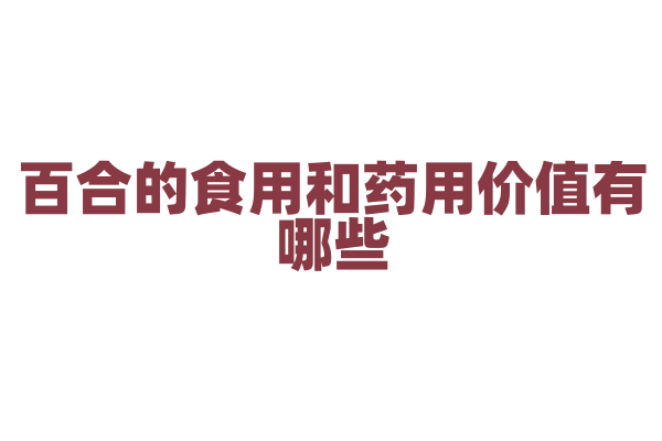 百合的食用和药用价值有哪些