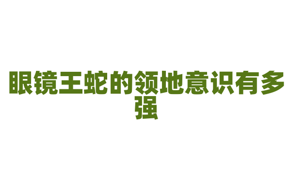 眼镜王蛇的领地意识有多强?