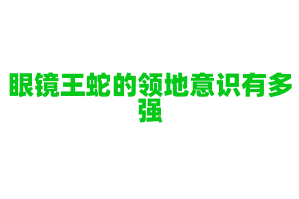 眼镜王蛇的领地意识有多强？