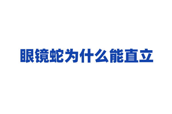 眼镜蛇为什么能直立，它的攻击方式和身体结构有什么关系？