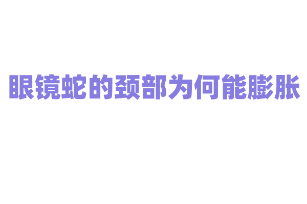 眼镜蛇的颈部为何能膨胀？