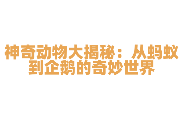 神奇动物大揭秘：从蚂蚁到企鹅的奇妙世界