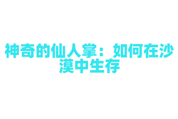 神奇的仙人掌：如何在沙漠中生存？