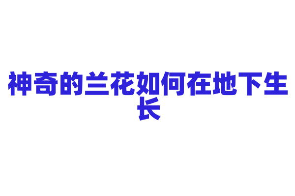 神奇的兰花如何在地下生长？