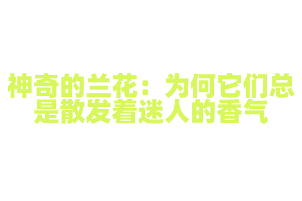 神奇的兰花：为何它们总是散发着迷人的香气？