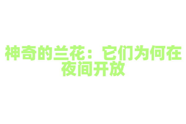 神奇的兰花：它们为何在夜间开放？