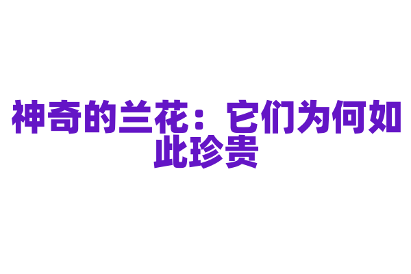 神奇的兰花：它们为何如此珍贵？