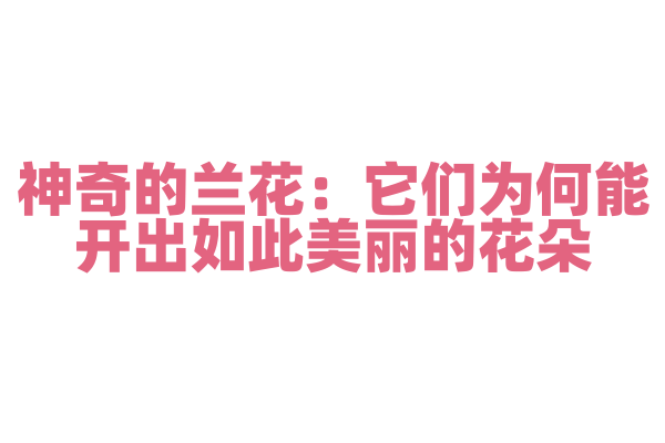 神奇的兰花：它们为何能开出如此美丽的花朵？
