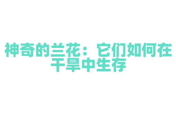 神奇的兰花：它们如何在干旱中生存？
