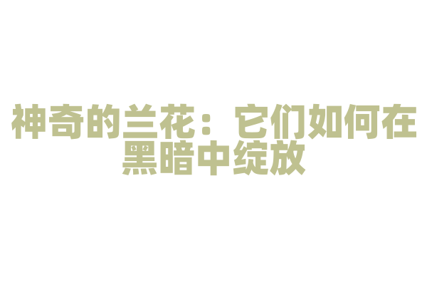 神奇的兰花：它们如何在黑暗中绽放？