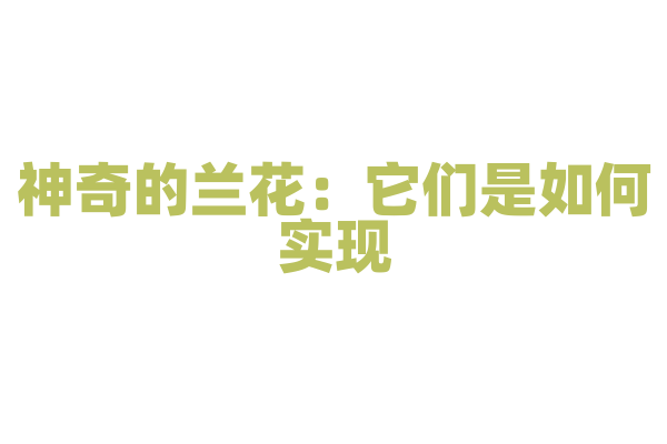 神奇的兰花：它们是如何实现“空中花园”的？