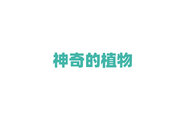 神奇的植物——如何让树叶变成红色