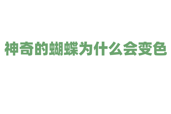 神奇的蝴蝶为什么会变色？