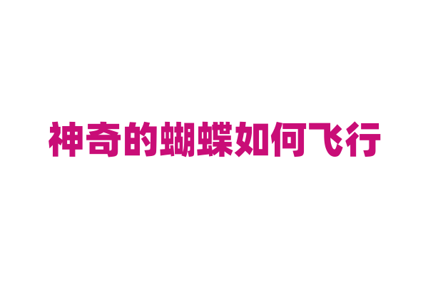 神奇的蝴蝶如何飞行