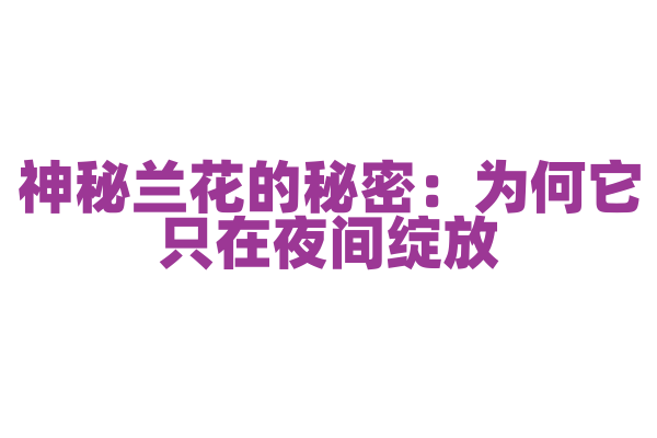 神秘兰花的秘密：为何它只在夜间绽放？