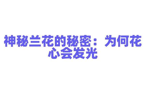 神秘兰花的秘密：为何花心会发光？