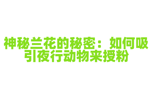 神秘兰花的秘密：如何吸引夜行动物来授粉
