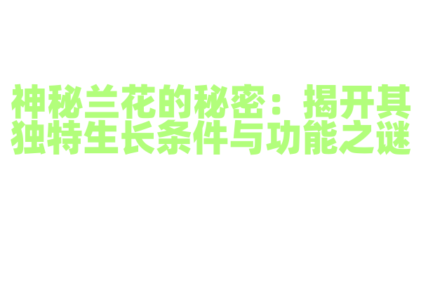 神秘兰花的秘密：揭开其独特生长条件与功能之谜
