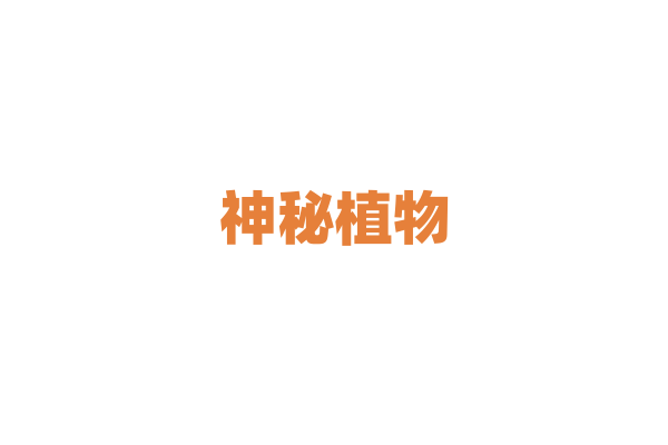 神秘植物——如何辨别有毒与无毒种类？