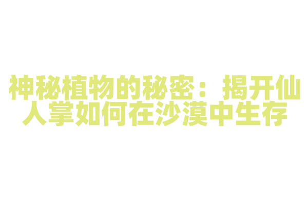 神秘植物的秘密：揭开仙人掌如何在沙漠中生存
