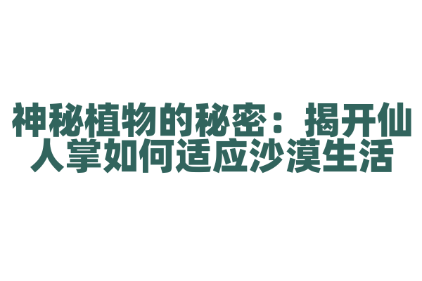 神秘植物的秘密：揭开仙人掌如何适应沙漠生活