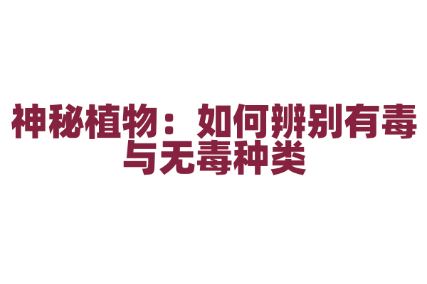 神秘植物：如何辨别有毒与无毒种类？