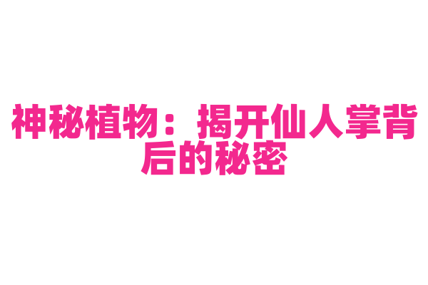 神秘植物：揭开仙人掌背后的秘密