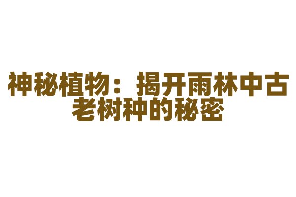 神秘植物：揭开雨林中古老树种的秘密