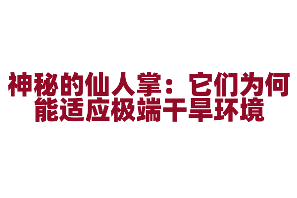 神秘的仙人掌：它们为何能适应极端干旱环境？