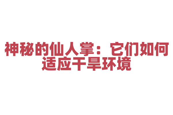 神秘的仙人掌：它们如何适应干旱环境？