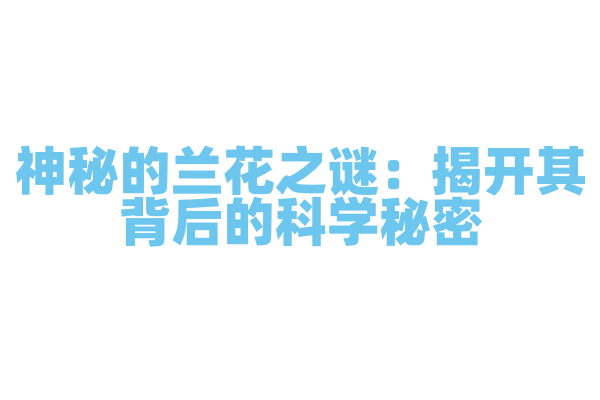 神秘的兰花之谜：揭开其背后的科学秘密